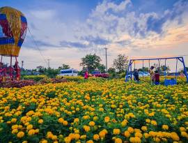 រមណីយដ្ឋាន តាសែដូងក្រអូប - Ta Sae Doung Kraoub Resort