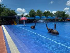 សួនទឹកកំពង់ស្ពឺ - Kompong Speu Swimming Pool